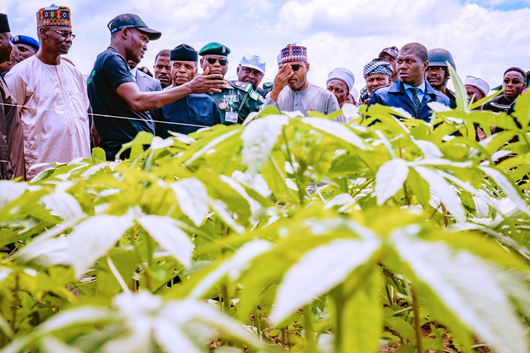 VP Osinbajo Visits Nasarawa Farm Where Ex-Militant From Delta Is Developing 3,000 Hectares For Crop & Livestock Production On 17/10/2019